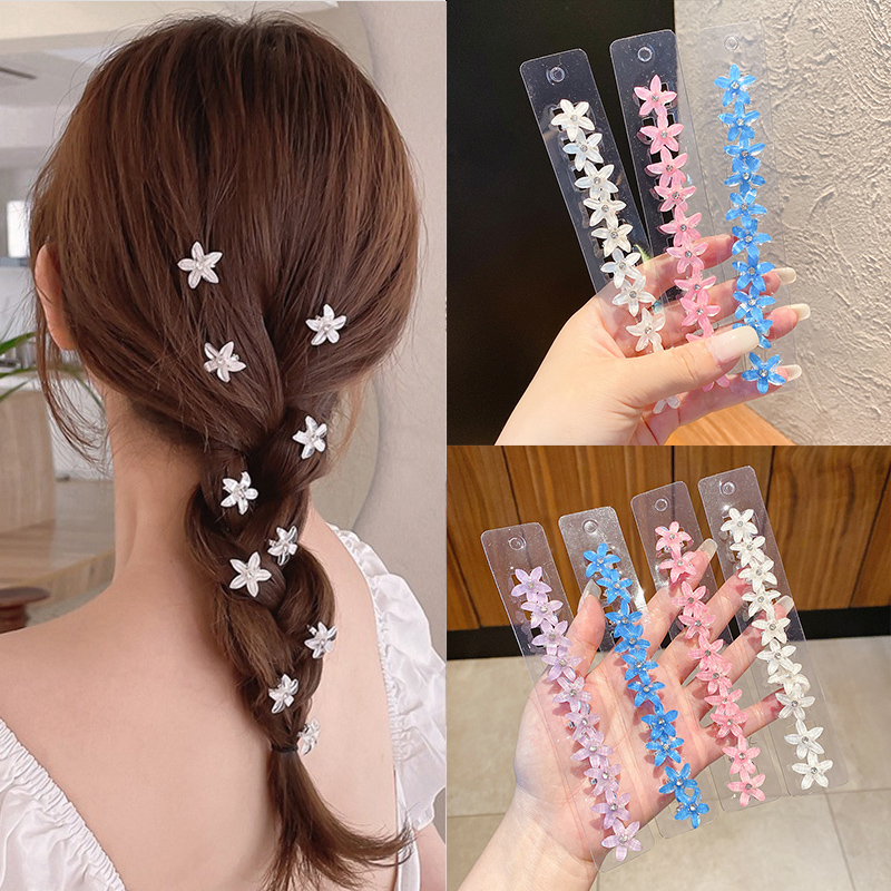 Hair Claw Clip Set - 10 개/대 헤어 클립 땋은 머리
