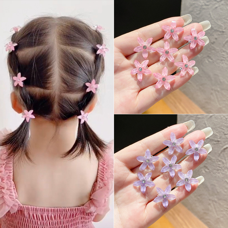 10 개/대 헤어 클립 땋은 머리 작은 꽃 헤어 버튼  - Hair Claw Clip Set 리뷰 및 가격