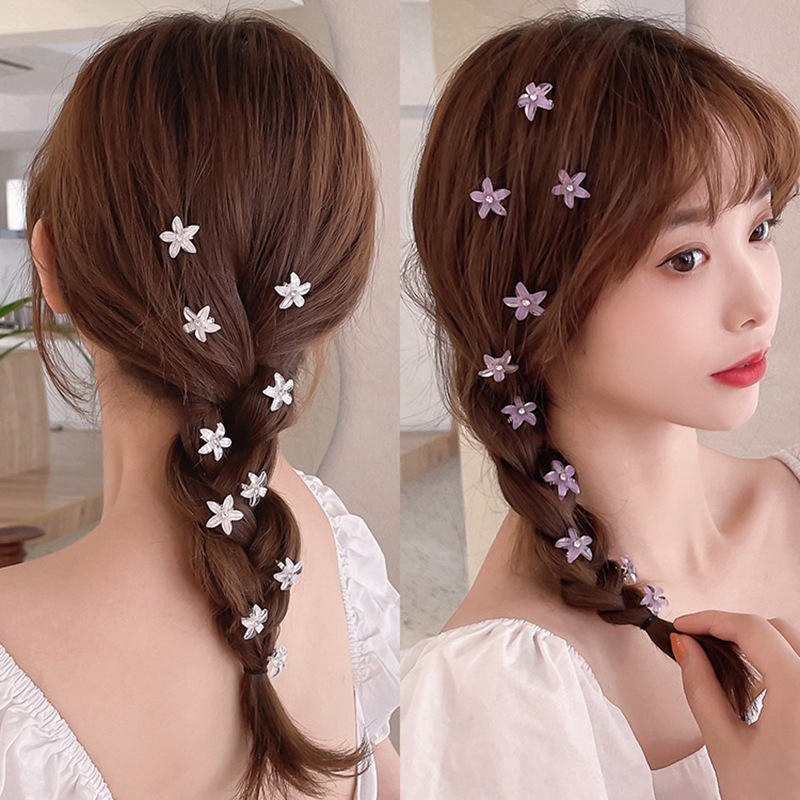 10 개/대 헤어 클립 땋은 머리 작은 꽃 헤어 버튼  - Hair Claw Clip Set 리뷰 및 가격